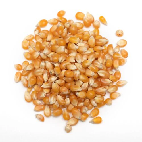 Al Nabulsi Popcorn Palestine 1kg (Exp:29/06/2026) | النابلسي بوشار