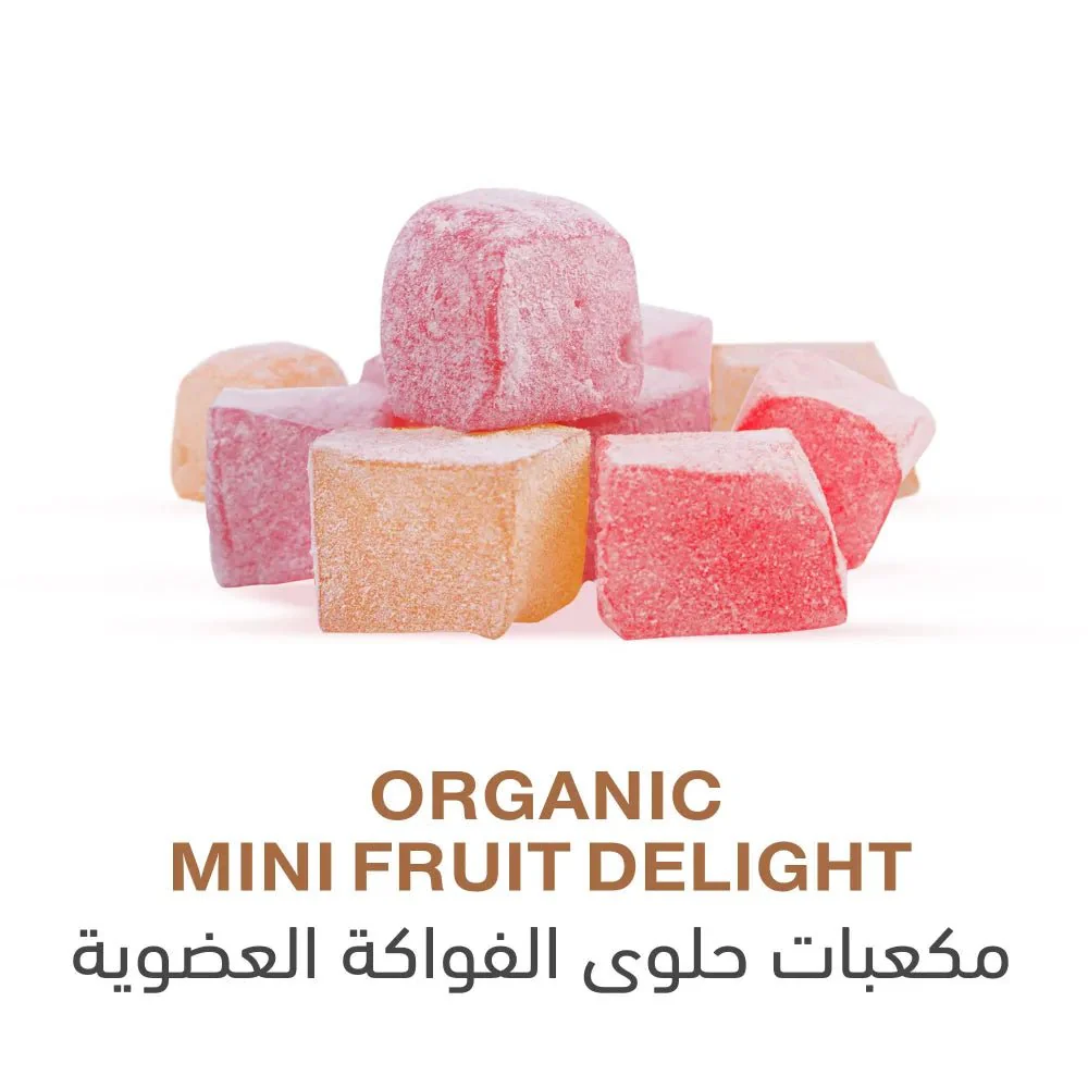 Holistic Corner Organic Mini Fruit Delight 100g | مكعبات حلوى الفواكه العضوية - Image 2