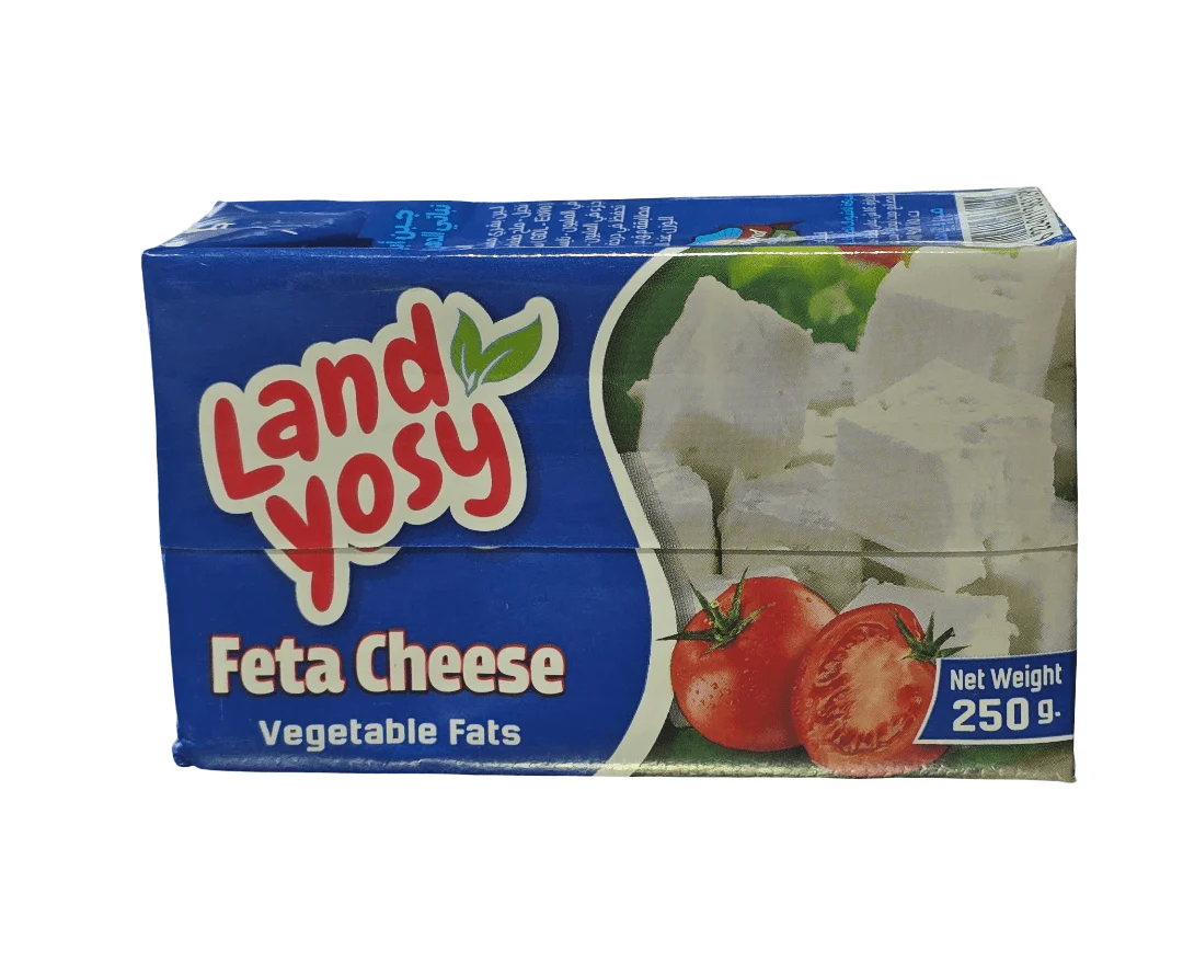 Land Yosy Feta Cheese 250g | لانديوسي جبنة فيتا بيضاء