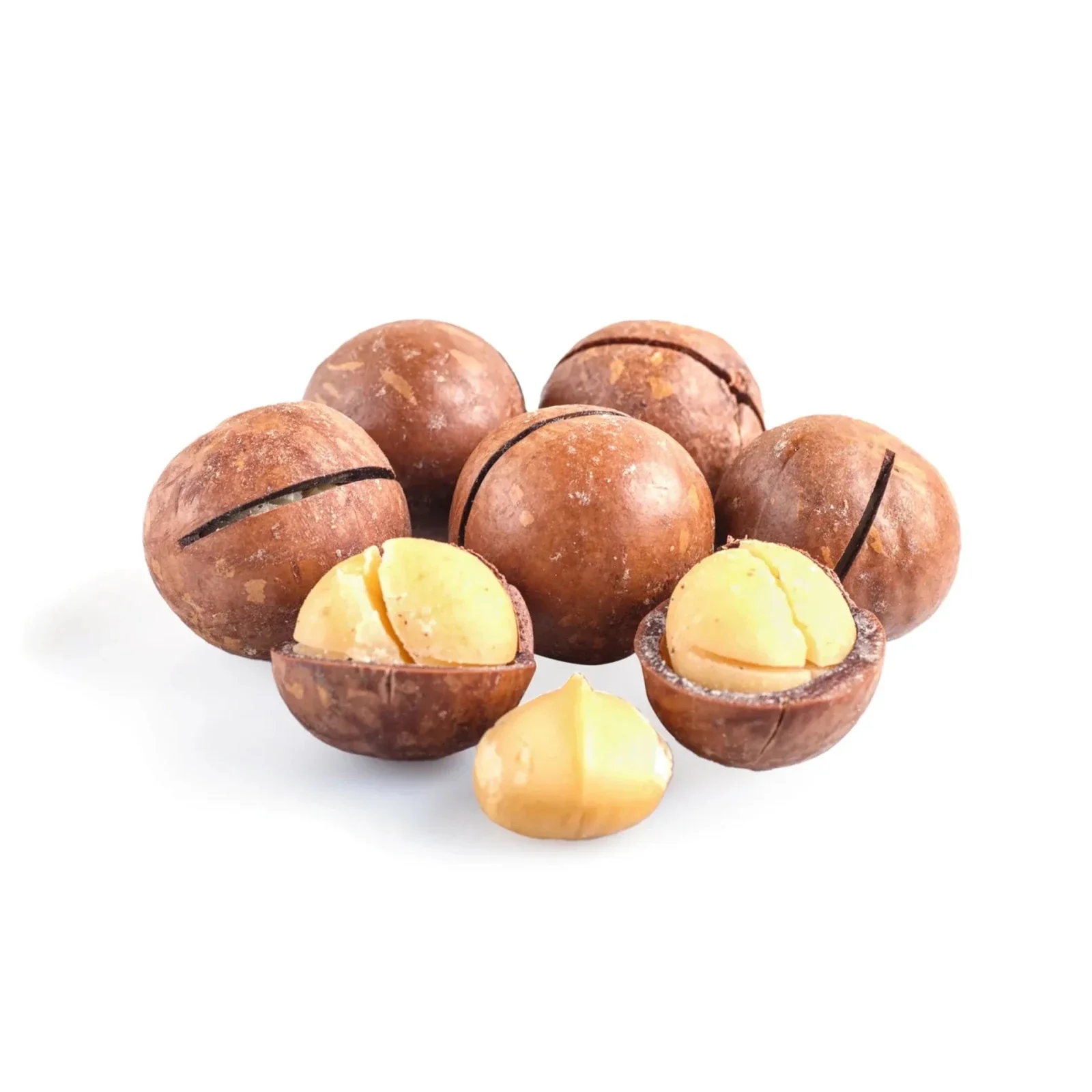 Macademia Roasted Vanilla With Shell 500g|ماكادميا محمصة بالقشرة فانيلا
