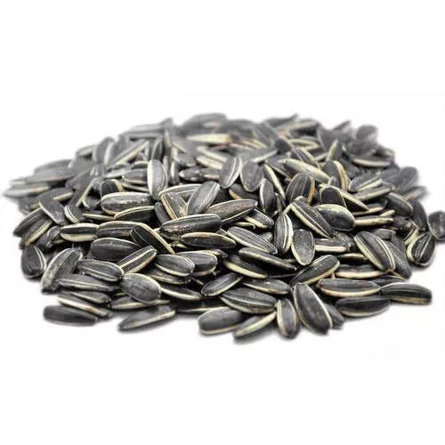 Sunflower Seeds Roasted Salt 250g | بذور دوار الشمس المحمصة